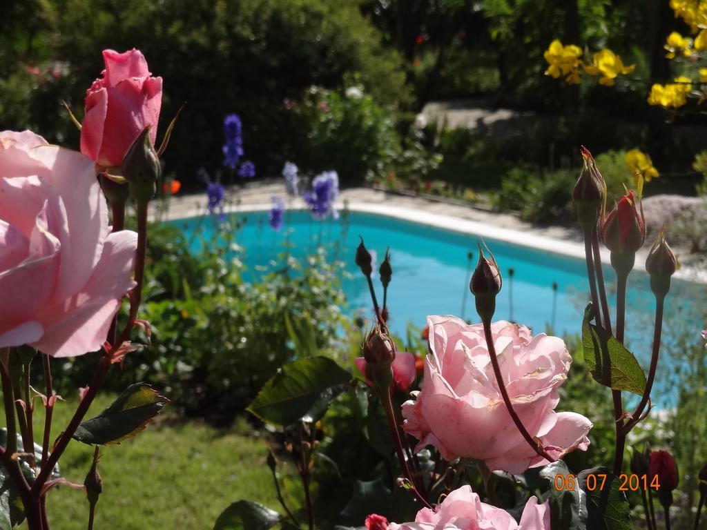Quinta Das Delicias Sao Tiaguinho Luaran gambar